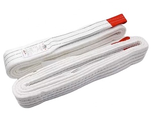 공장 판매 화이트 1t 플랫 폴리에스터 리프팅 웨빙 슬링 리깅 슬링 - Product Image 6
