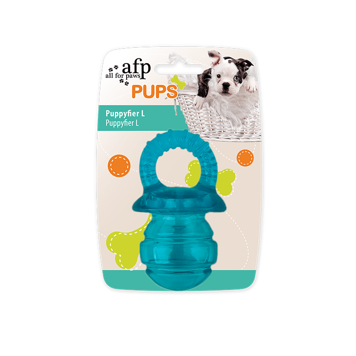 Chiot L - Turquoise