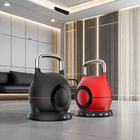 Dinuo - Vente en gros de kettlebell de compétition réglable de 20 kg - 44 lb, poignée antidérapante, base stable pour la maison et la salle de sport commerciale