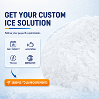 Machine à glace en flocons industrielle commerciale de 1 tonne avec bac de stockage de glace, fourniture directe du fabricant pour la transformation des produits de la mer et alimentaire