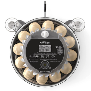 WONEGG - Incubadora de Huevos de Codorniz y Pato al Mejor Precio, Incubadora de Huevos Casera, en Venta en Tailandia - Product Image 6