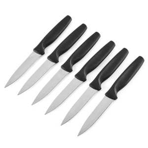 Plastic Handle Steak Knife With Serrated Edge Blade Steak Knife Set