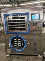 Huchuan Hoge Kwaliteit Fruit Aardbei Vriesdroogproductielijn Lage Temperatuur Vacuüm Vriesdroogapparatuur Lyofilisator