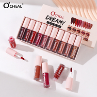 Ensemble de 10 gloss à lèvres mats, mini, portable, léger, longue tenue, cosmétiques OEM en gros