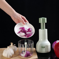 Handmatige plastic eco-vriendelijke mini-voedselprocessor/hakselaar voor fruit, groenten, knoflook, uien en peper, 450 ml capaciteit