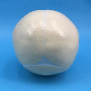 인간 태아 두개골 해부학 모델 아기 두개골 모델 - Product Image 2