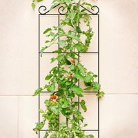 Treillis de jardin en métal pour plantes grimpantes, support en fer pour plantes, treillis extérieur pour vignes, roses, concombres, tomates - Vente en gros