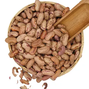 インゲン豆のスペックルが薄く、高品質、低価格で中国産に輸出