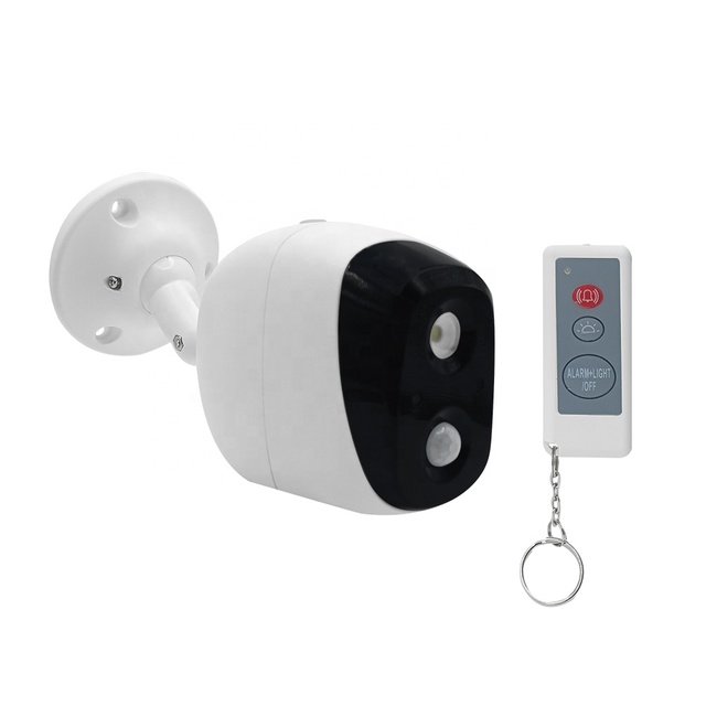 Wholesale Waterproof Dummy CCTV Camera PIR Motion Detection Security Infrared Detector 2 in 1 Sensor Light and Wireless Alarm
