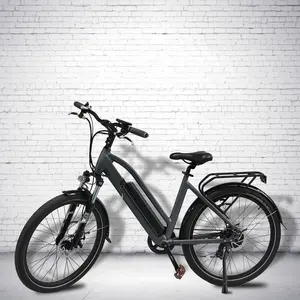 经典风格多用途载货轻便女士城市道路电动自行车36v 48v 26英寸500W 10Ah循环充电电动自行车