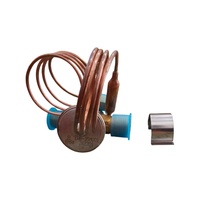 Vanne d'expansion de climatisation pour bus 80107176A00 JL170926-004 EWB-35M001 pour climatiseur de bus Higer Kinglong