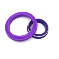 Joints en fluoroélastomère haute performance pour raccords Fig 1502 de 2 et 3 pouces