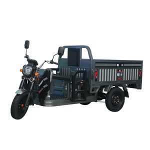 Tricycle électrique de cargaison du fabricant direct pour l'usage de ferme - Product Image 5