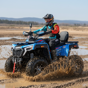 Tao Motor 2026 Nuevo Cuatriciclo ATV 4x2 de 250cc con Transmisión Automática por Cadena, Motor de 4 Tiempos y 1000W+, Homologado para Carretera en Europa EEC T3B - Product Image 1
