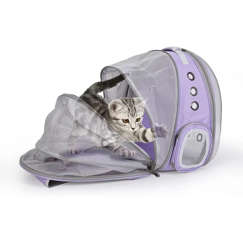 더 편안한 애완 동물 가방 고양이 통기성 배낭 롤 애완 동물 캐리어 가방