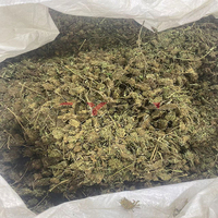 Machine de séchage de fleur de chanvre de type gaz naturel propane pour l'extrait d'huile de CBD équipement de séchage de ceinture de maille de feuille d'herbe