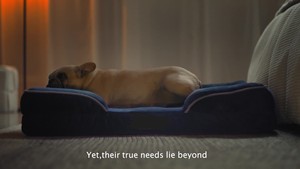 <span class=keywords><strong>2025</strong></span> nuevo sofá ortopédico suave de lujo cama de espuma viscoelástica impermeable y transpirable suministros para mascotas tamaño humano para perro gato - Product Image 6