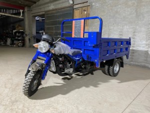 Tricycle agricole à 5 roues <span class=keywords><strong>USA</strong></span>, 250cc 300cc, <span class=keywords><strong>moto</strong></span> cargo robuste - Product Image 4