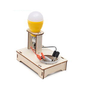 Enfants École Science Expérience Physique Lumières DIY Assemblage Éducatif Bois Eau Salée Puissance <span class=keywords><strong>Lampe</strong></span> Science Jouets - Product Image 3