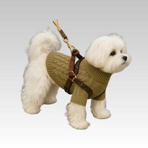 XS Áo chui đầu cho chó thoải mái giản dị cổ điển truyền thống Áo Hoodie Áo len chui đầu cho gấu bông Áo len dệt kim màu trơn co giãn cho thú cưng - Product Image 1