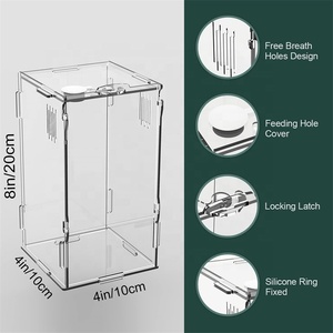 Exhibidor de Acrílico Transparente Personalizado para Reptiles, Terrarios con Cierre de Seguridad, Apto para Tarántulas e Isopodos - Product Image 2