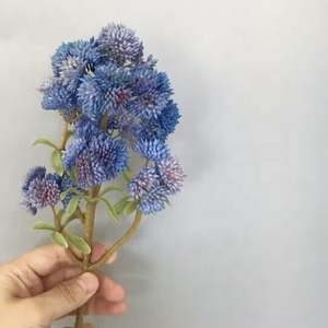 Plantas suculentas artificiales <span class=keywords><strong>de</strong></span> <span class=keywords><strong>plástico</strong></span> realista, decoración <span class=keywords><strong>de</strong></span> interiores, <span class=keywords><strong>flores</strong></span> artificiales - Product Image 5
