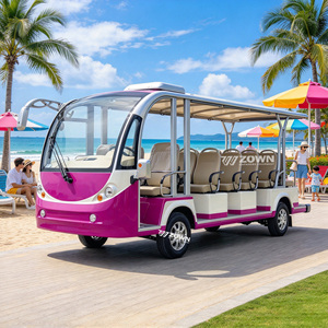 Autobús Turístico Eléctrico ZOWN, Ecológico y Libre de Contaminación, para Recorridos de Turistas en Parques de Zonas Húmedas - Product Image 1