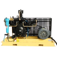 Compresseur industriel à piston haute pression 40bar Compresseur d'air alternatif Machine pour raffinage du pétrole Moteur à noyau de pétrole/gaz