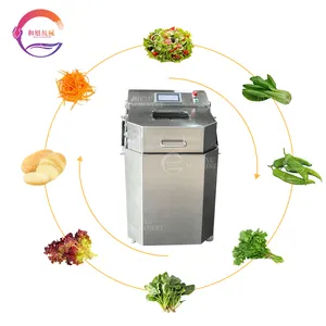 Gıda kurutucu sebze dehidrasyon makinesi meyve susuzlaştırma ekipmanları kurutma Spinner
