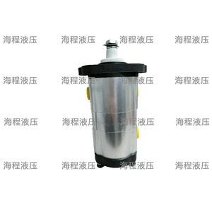 Pompe hydraulique double 6214827M91 3329920021 Pompe à engrenages double tandem - Product Image 4