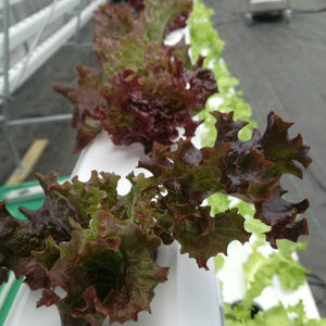 Tuyaux en <span class=keywords><strong>PVC</strong></span> 100*150/100*100mm NFT <span class=keywords><strong>Gouttière</strong></span> Hydroponie - Product Image 1