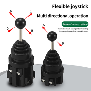 Snao cs201 मास्टर क्रॉस स्विच cs श्रृंखला 30 मिमी कॉपर सिल्वर पॉइंट टू सेल्फ रीसेट बटन स्विच - Product Image 4