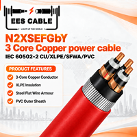 Câble N2XSEFGbY 3 conducteurs en cuivre, isolé XLPE, blindé avec bande de cuivre, armure en acier galvanisé, gaine en PVC, conforme à la norme IEC 60502-2