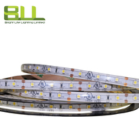 Tira de luces LED IP65 SMD 3528 60led/M, tira led flexible 6000K DC12V, cinta de luz LED impermeable para uso en exteriores