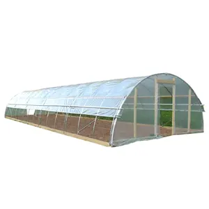 Herstellung von bedeckten Kunststoff folien im Großhandel für Gemüse 50mic auf Lager Low Cost Single Span Tunnel zum Verkauf verwendet