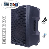 Système de sonorisation portable professionnel 300W avec haut-parleur de 8 pouces, Bluetooth, karaoké, TWS, micro, égaliseur et écho - Enceinte active