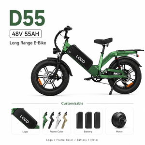 Vélo électrique à double suspension de haute qualité OEM ODM, 48V55Ah 750W, vélo électrique à pneus larges de 20 pouces, vélo électrique pour la ville, la route et tout-terrain - Product Image 1