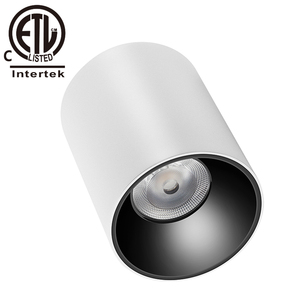 Đèn Âm Trần LED Gắn Trên Bề Mặt Được Phê Duyệt CETL Đèn Âm Trần Gắn Trên Bề Mặt Có Thể Điều Chỉnh Độ Sáng CRI 90Ra <span class=keywords><strong>Zigbee</strong></span> Cao 20W 30W 40W 50W 100W - Product Image 5