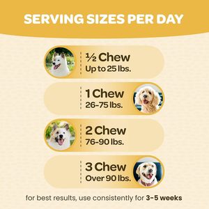 OEM ODM Private Hip and Joint Supplement <b>for</b> <b>Dogs</b> - <b>Dog</b> Joint Pain Relief - Glucosamine Chondroitin Turmeric Soft <b>Chews</b> - Product Image 3