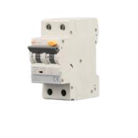 Disjoncteur miniature basse tension 2P, protection contre les courts-circuits/surcharges, durée de vie de 8000 cycles, matériau PA66, certifié CE, DIN