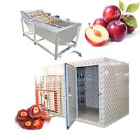 Machine de séchage automatique des prunes et des abricots, ligne de production industrielle de lavage et de séchage des prunes, usine de déshydratation des fruits, ensemble de transformation