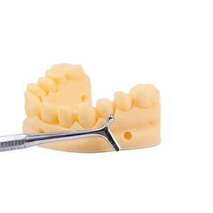 Pulidor dental de doble punta para amalgama y composite, instrumentos de relleno con agarre moleteado, plateado, manual, Clase I - Product Image 2