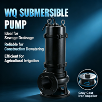 Bomba Sumergible para Aguas Residuales 50WQ10-10-0.75, 0.37kW-550kW, con Agitador, Bomba Industrial de Alta Resistencia para Aguas Residuales, Servicio OEM