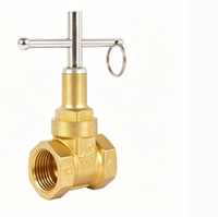 Vanne de clôture manuelle en laiton verrouillable, Vanne d'isolement pour compteur d'eau / Vanne de pré-compteur, Raccord fileté femelle, PN16, 1/2in-2in, OEM