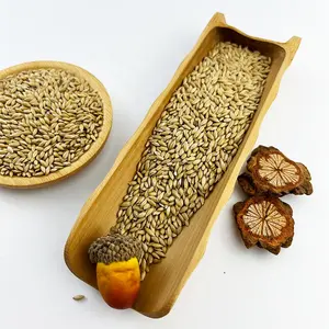 Wholesale canary seed Price of Healthy Food Natural Organic Bird Feed Canary Kernel Seeds