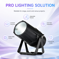 Projecteurs LED PAR Can de Scène de Qualité Supérieure pour DJ Extérieur, Effet Wash Zoom 300W RGBW 4-en-1