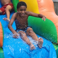 Glissières d'eau commerciales gonflables de 20ft d'extérieur de palmier de PVC grand parc gonflable de glissière d'eau enfants adultes gonflables avec la piscine