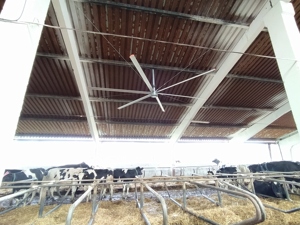 Ventilateur suspendu silencieux en acier inoxydable de qualité supérieure, écoénergétique, de taille industrielle (1,5 m x 2 m), pour le refroidissement et la ventilation des exploitations agricoles - Product Image 4