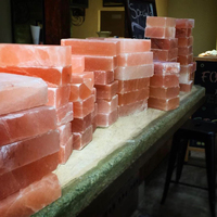 Blocs de sel de l'Himalaya Salle de spa Carreaux de sel Artisanat naturel Construction immobilière 20*10*5cm Briques de sel de l'Himalaya de Chine