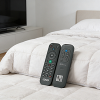 Télécommande universelle intelligente pour téléviseur, remplacement de la télécommande vocale BT, compatible avec les mini-téléviseurs et les boîtiers TV